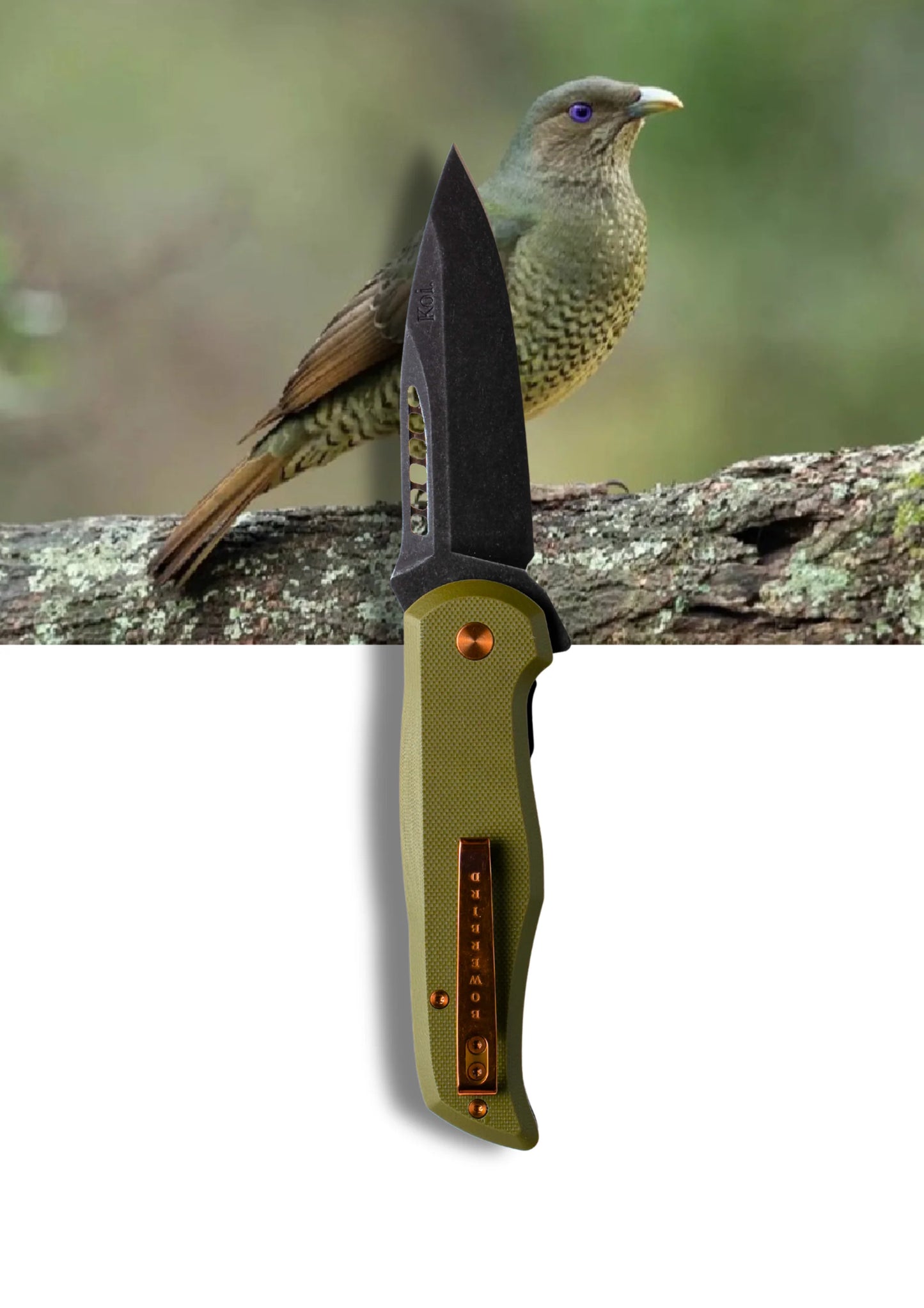 Koi Knives The Bowerbird Female Folding Knife