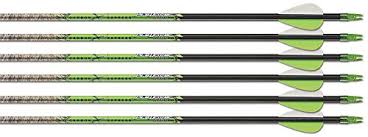 Lot De 12 Flèches Carbon Express Pile Driver Hunter 450 - Avec Inserts Lot De 12 Flèches Carbon Express Pile Driver Hunter 450 - Avec Inserts