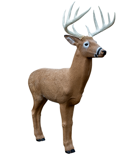Rinehart Midwest Buck