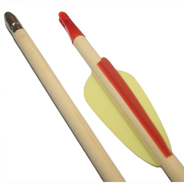 Beginner/Youth Arrows