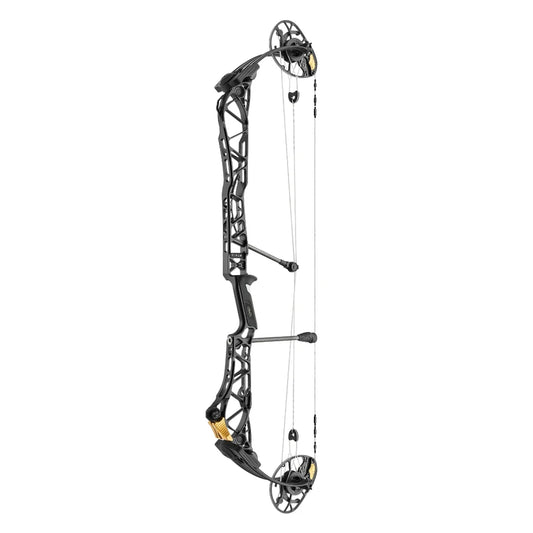 Mathews Title 38