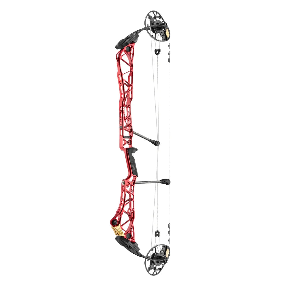 Mathews Title 38
