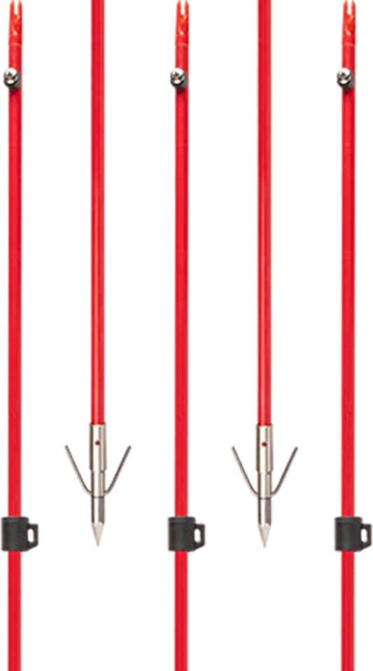 Cajun Piranha Arrow