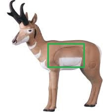 Rinehart Pronghorn Antelope Insert