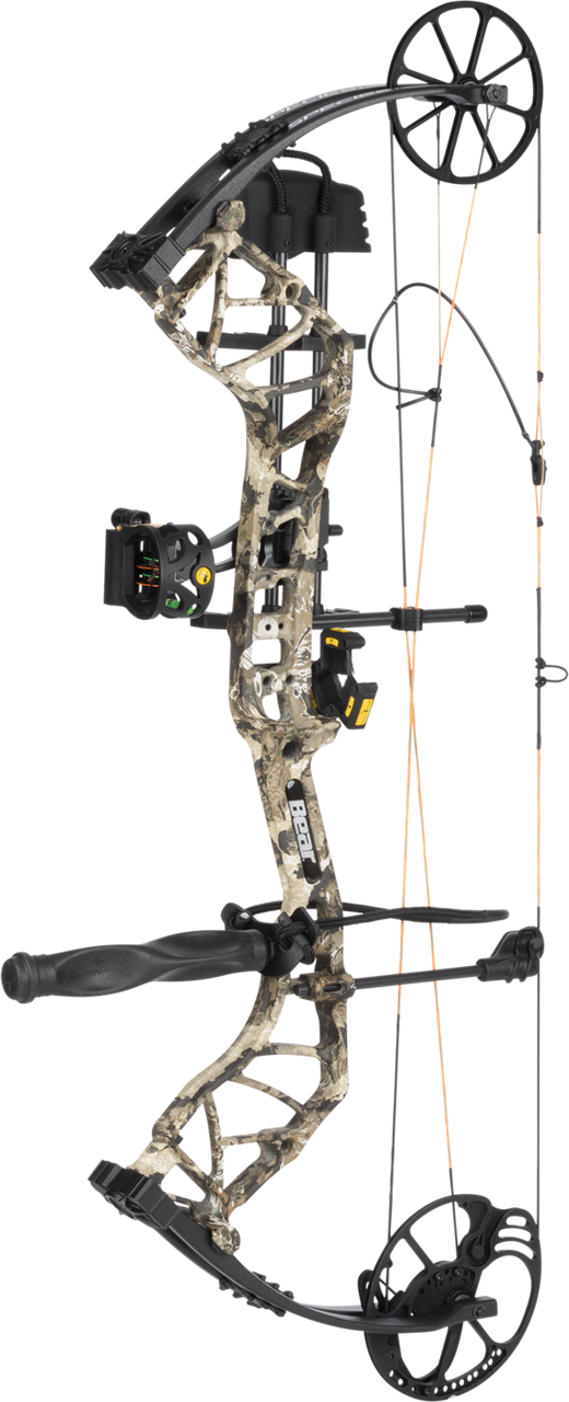 Bear Species Ev Veil Whitetail RH